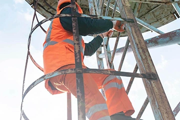 Scaffold & Ladder Falls